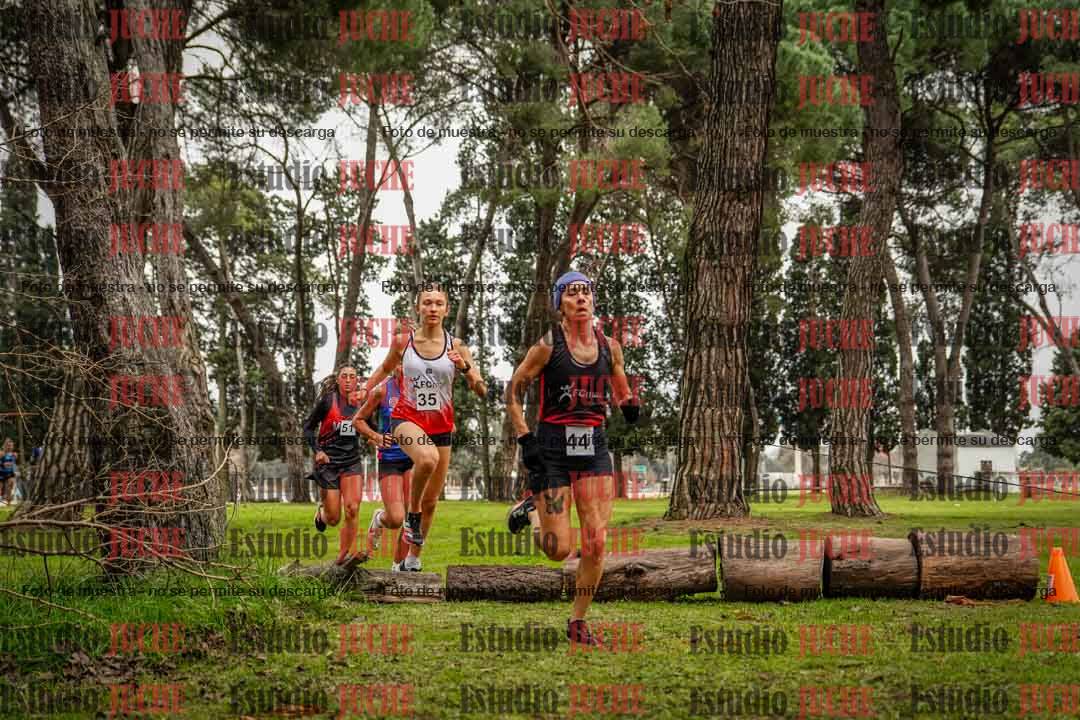 Fotos en el circuito