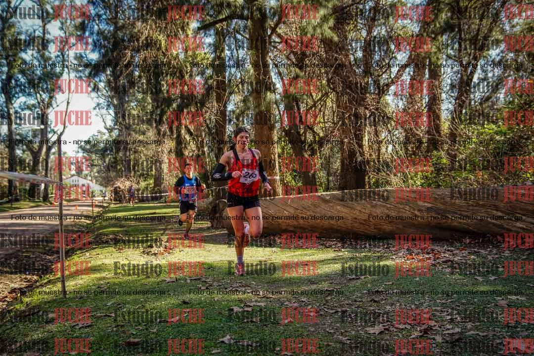 Fotos en el cuarto punto del circuito