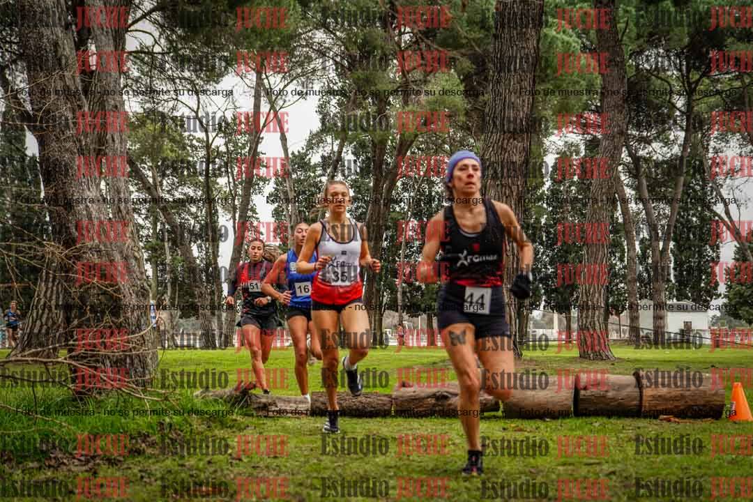Fotos en el circuito