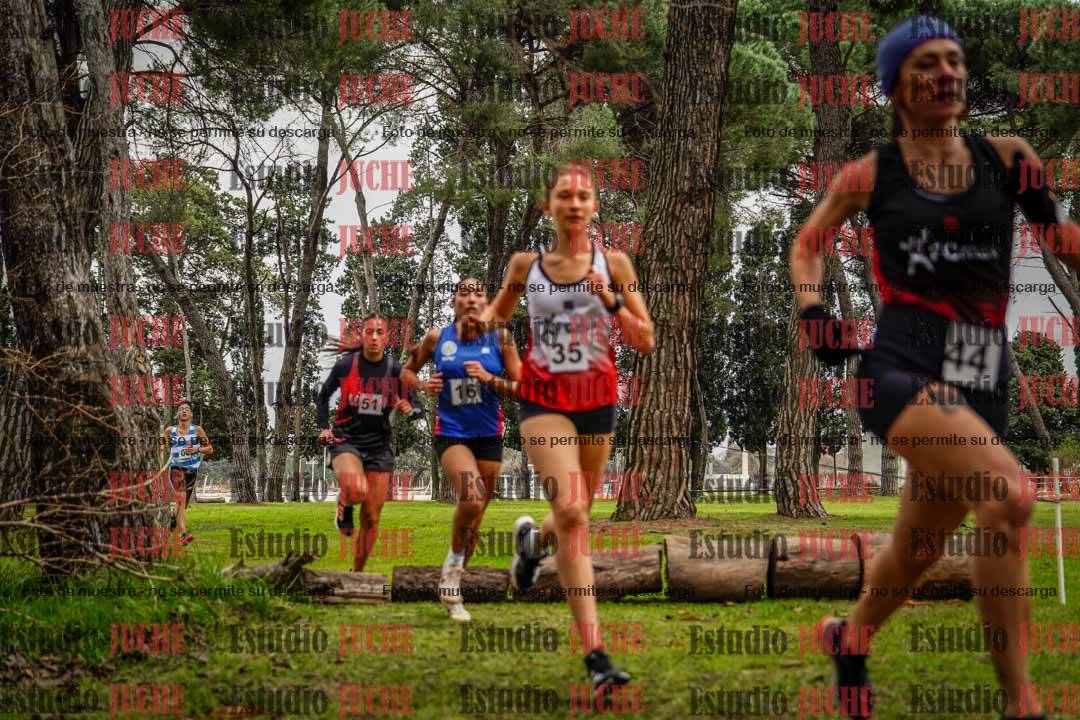 Fotos en el circuito