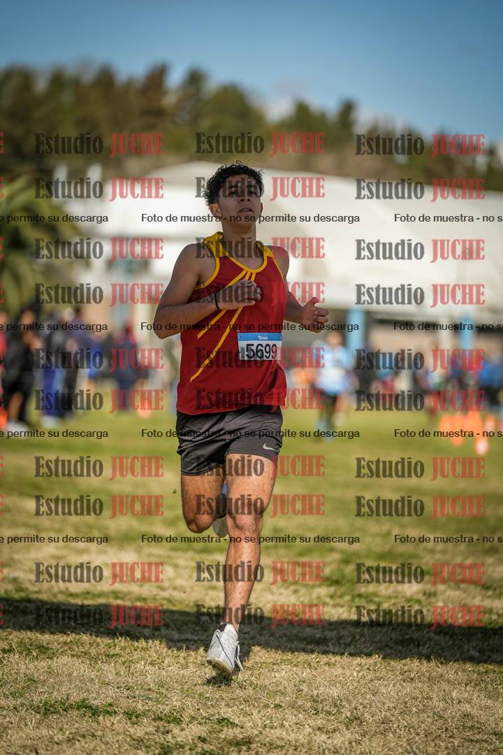 Fotos de las llegadas