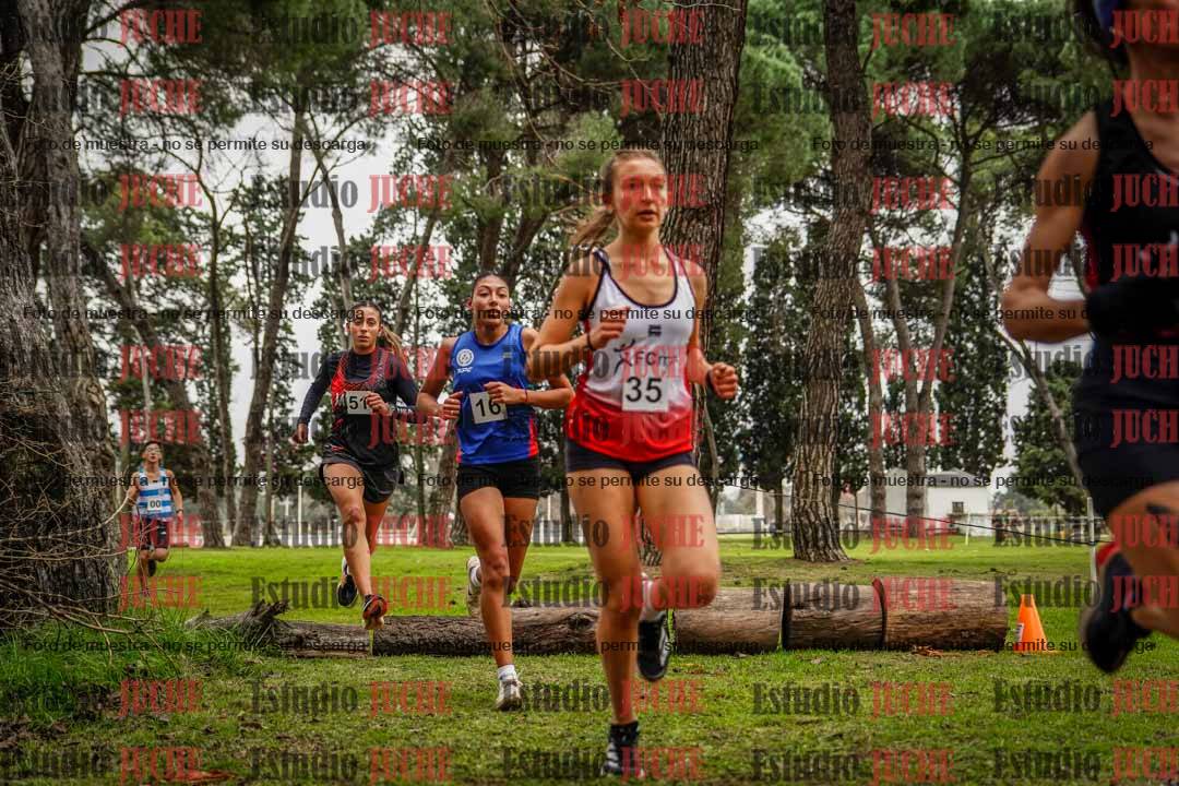 Fotos en el circuito
