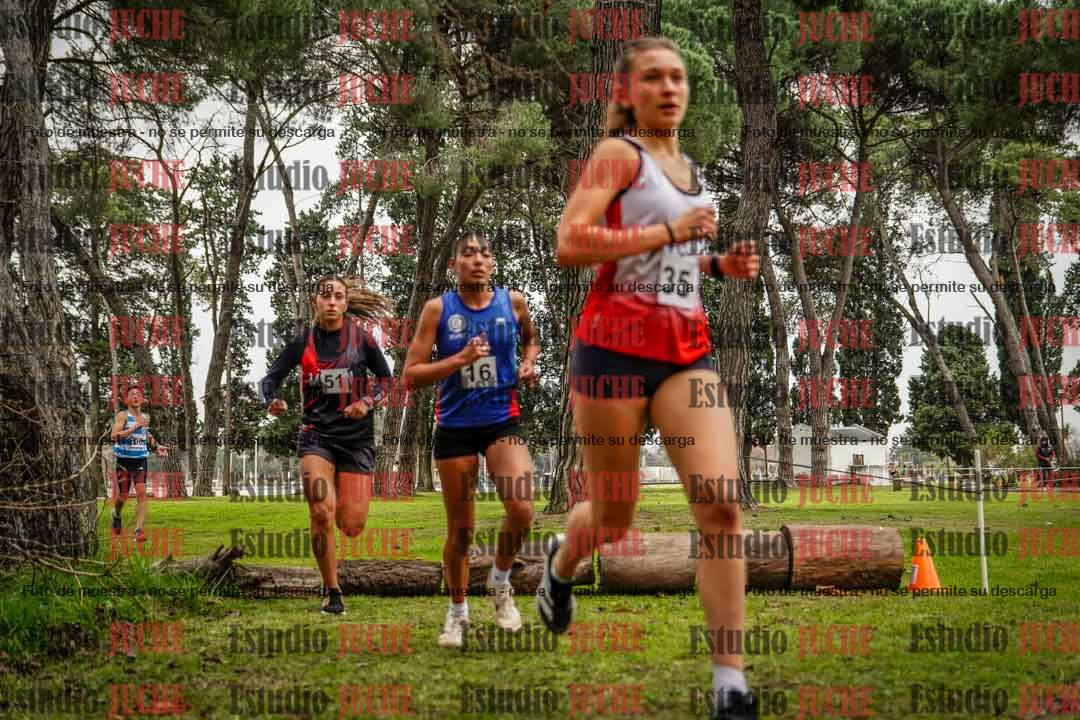 Fotos en el circuito
