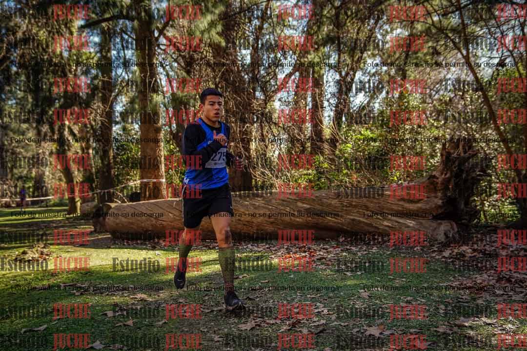 Fotos en el cuarto punto del circuito