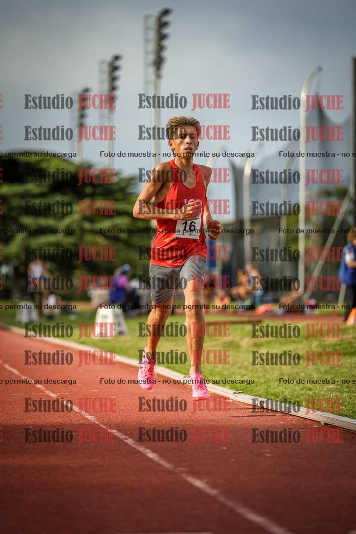 Fotos de los 3000 m llanos de varones
