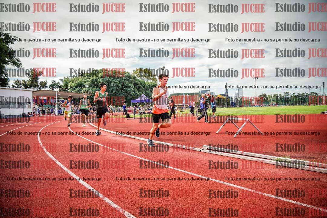 Fotos de los 800 m llanos de varones