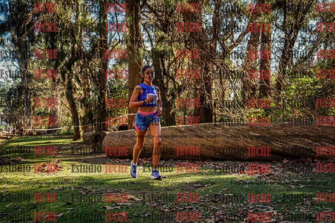 Fotos en el cuarto punto del circuito