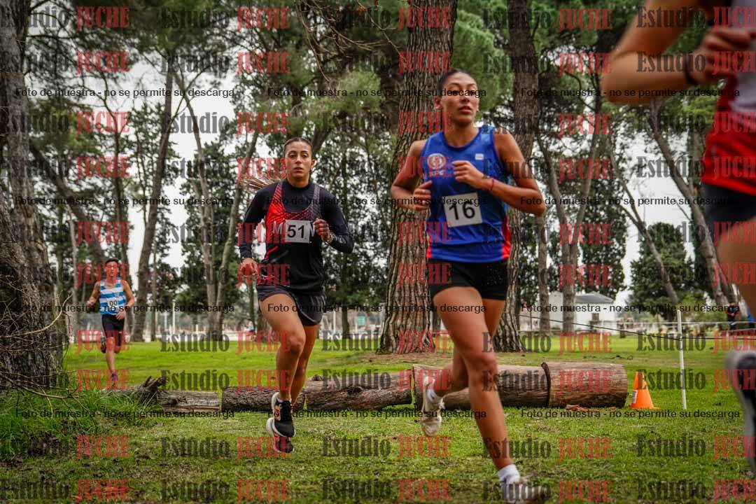 Fotos en el circuito