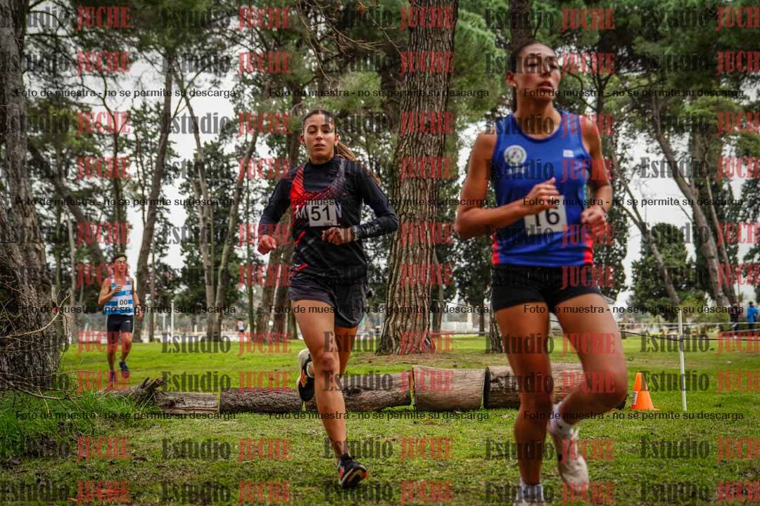 Fotos en el circuito