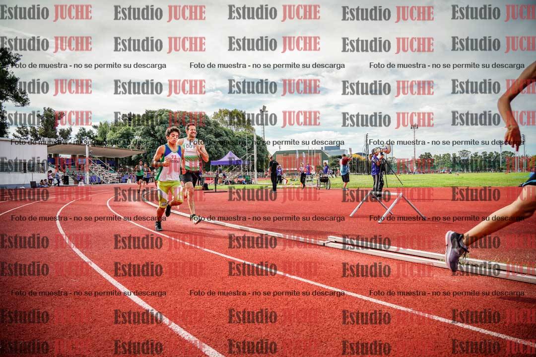 Fotos de los 800 m llanos de varones
