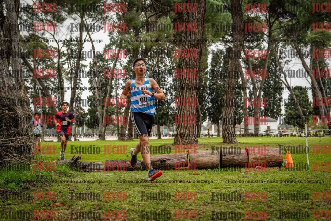 Fotos en el circuito