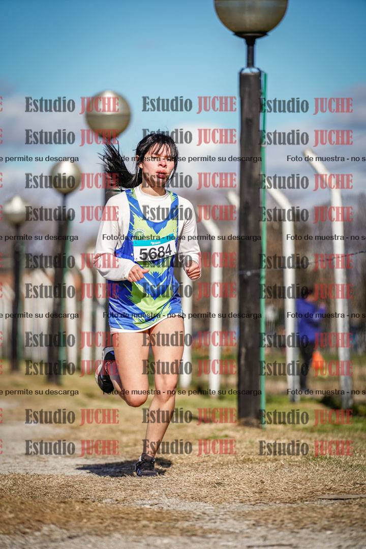 Fotos en el circuito