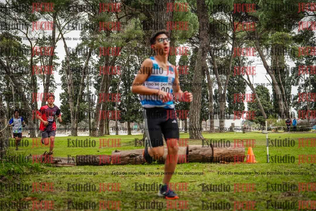 Fotos en el circuito