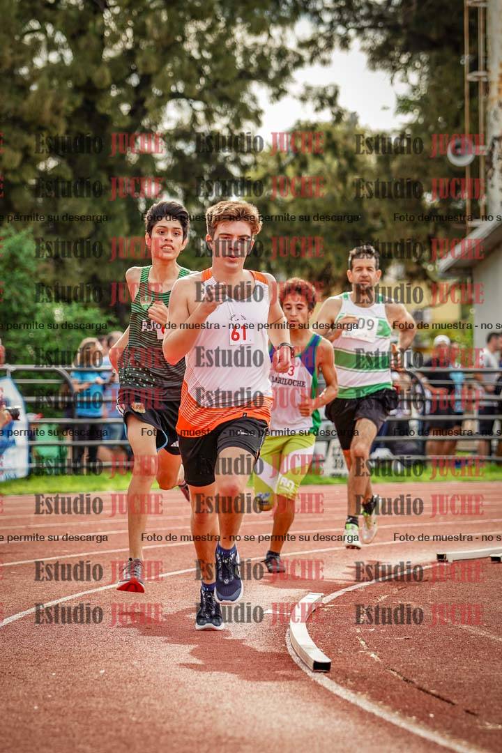 Fotos de los 800 m llanos de varones