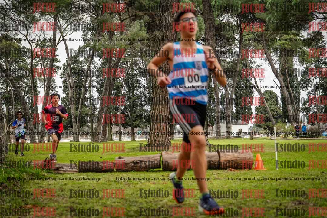 Fotos en el circuito