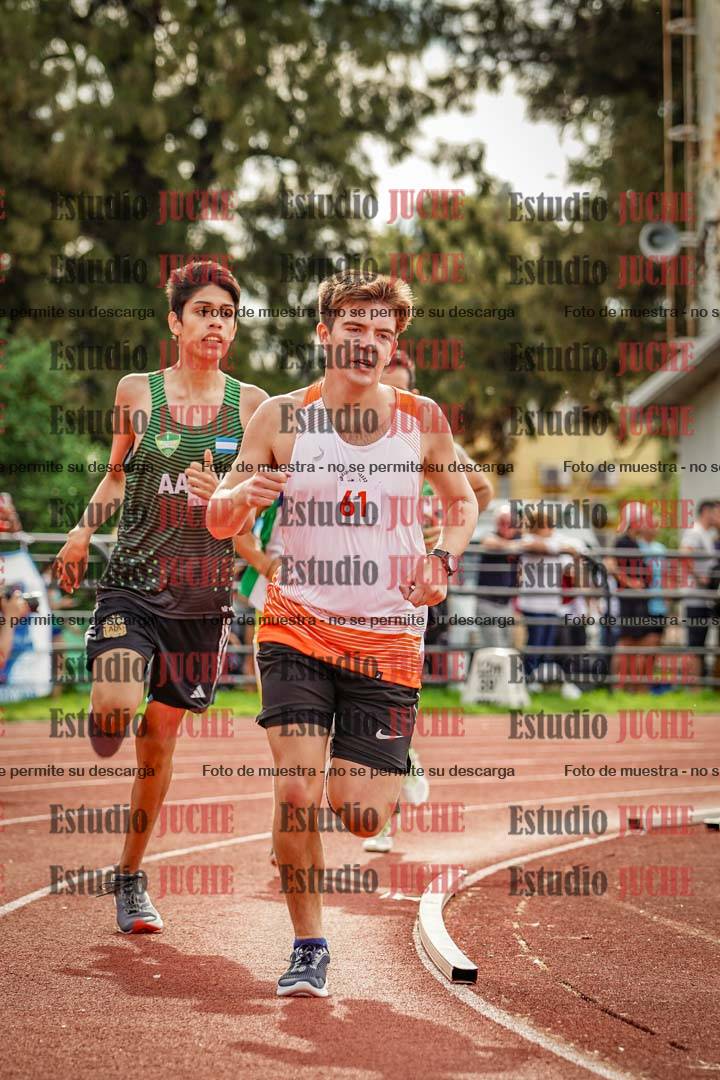 Fotos de los 800 m llanos de varones