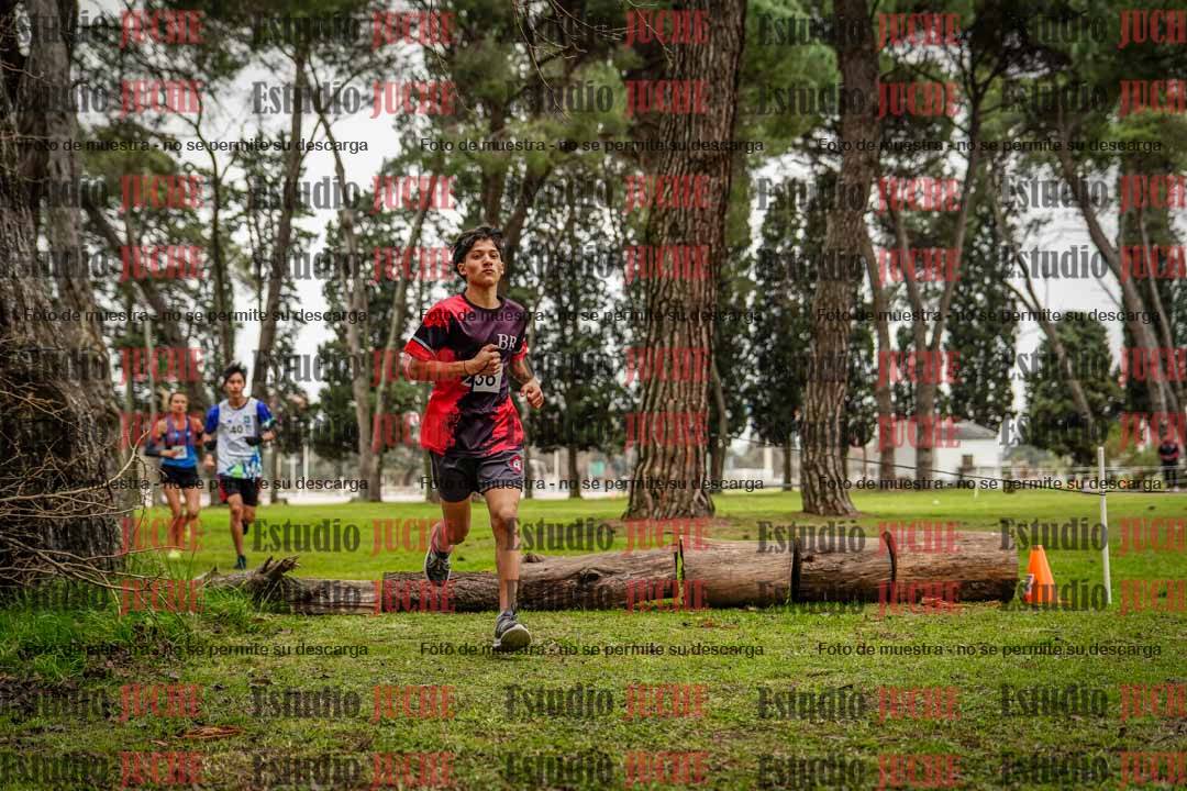 Fotos en el circuito