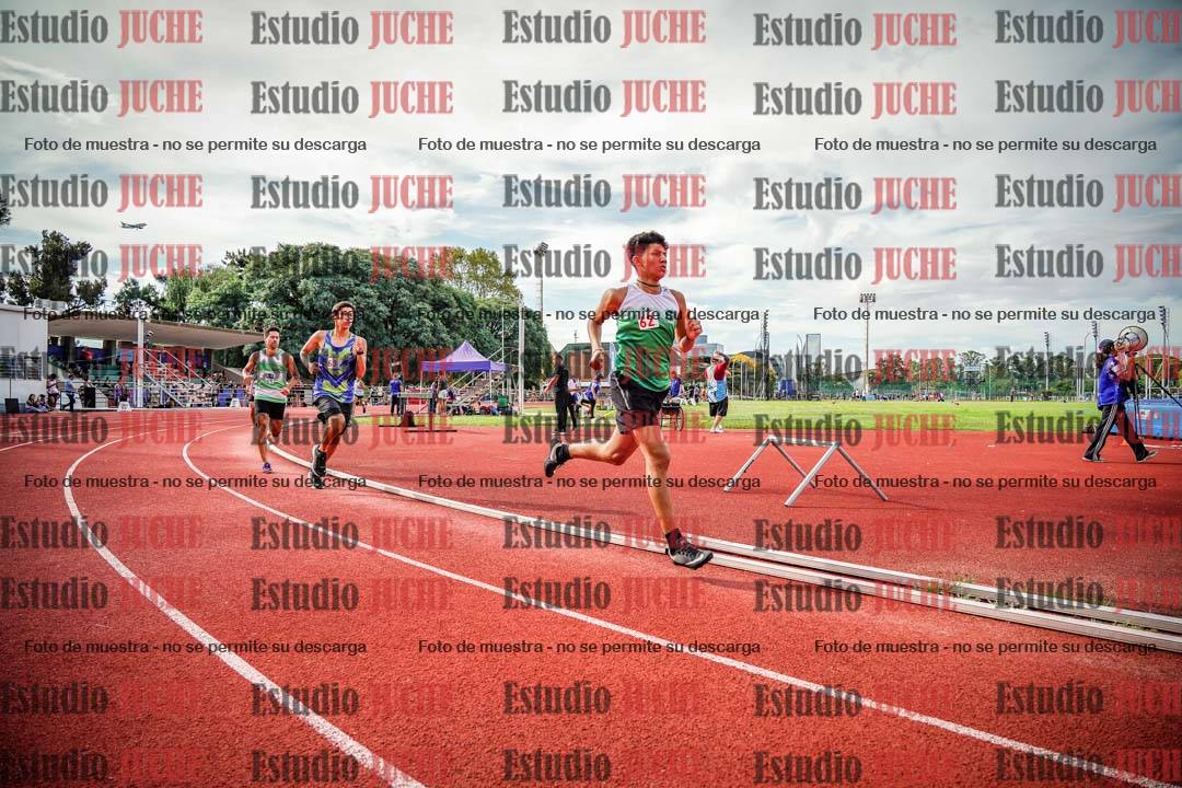 Fotos de los 800 m llanos de varones