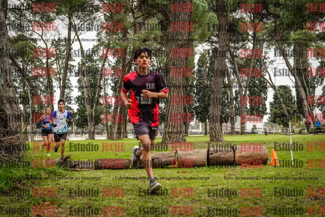 Fotos en el circuito