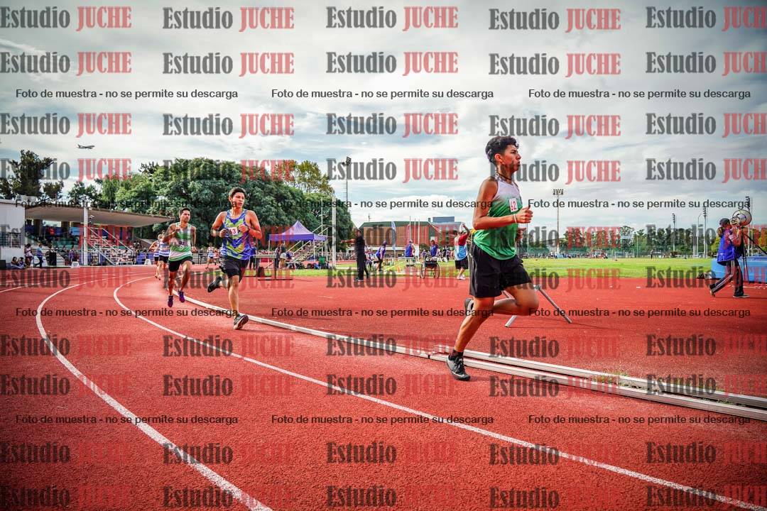 Fotos de los 800 m llanos de varones