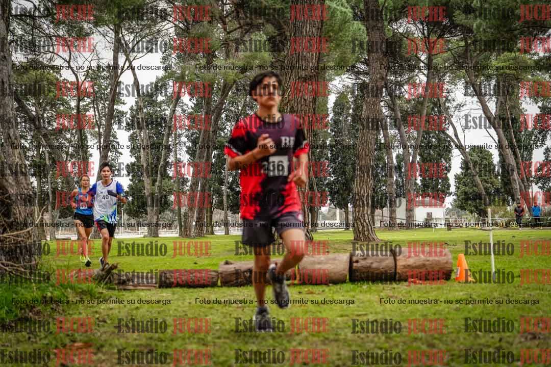 Fotos en el circuito
