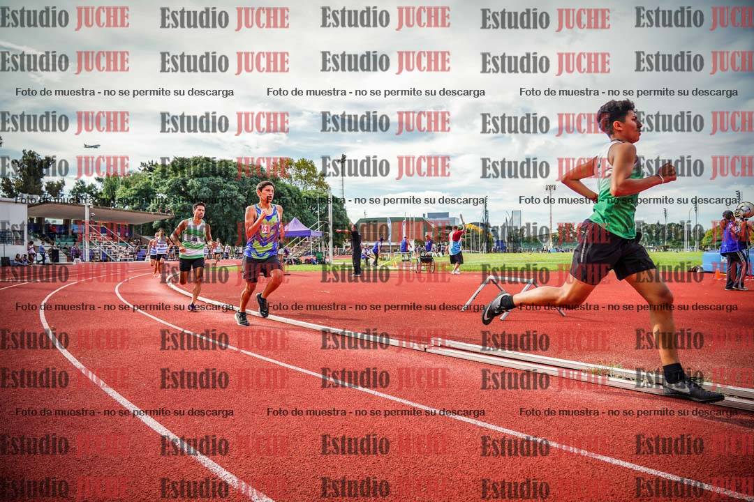 Fotos de los 800 m llanos de varones