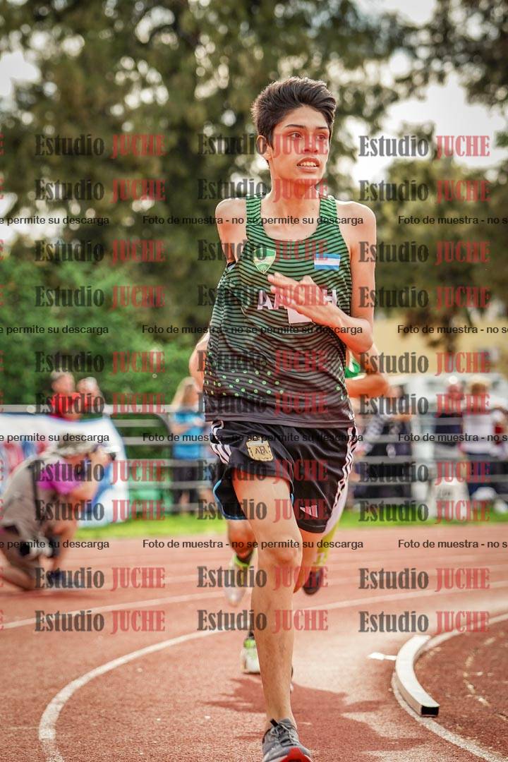 Fotos de los 800 m llanos de varones