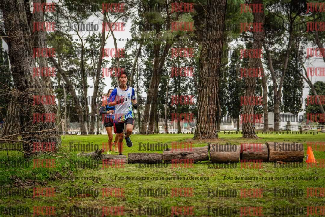 Fotos en el circuito