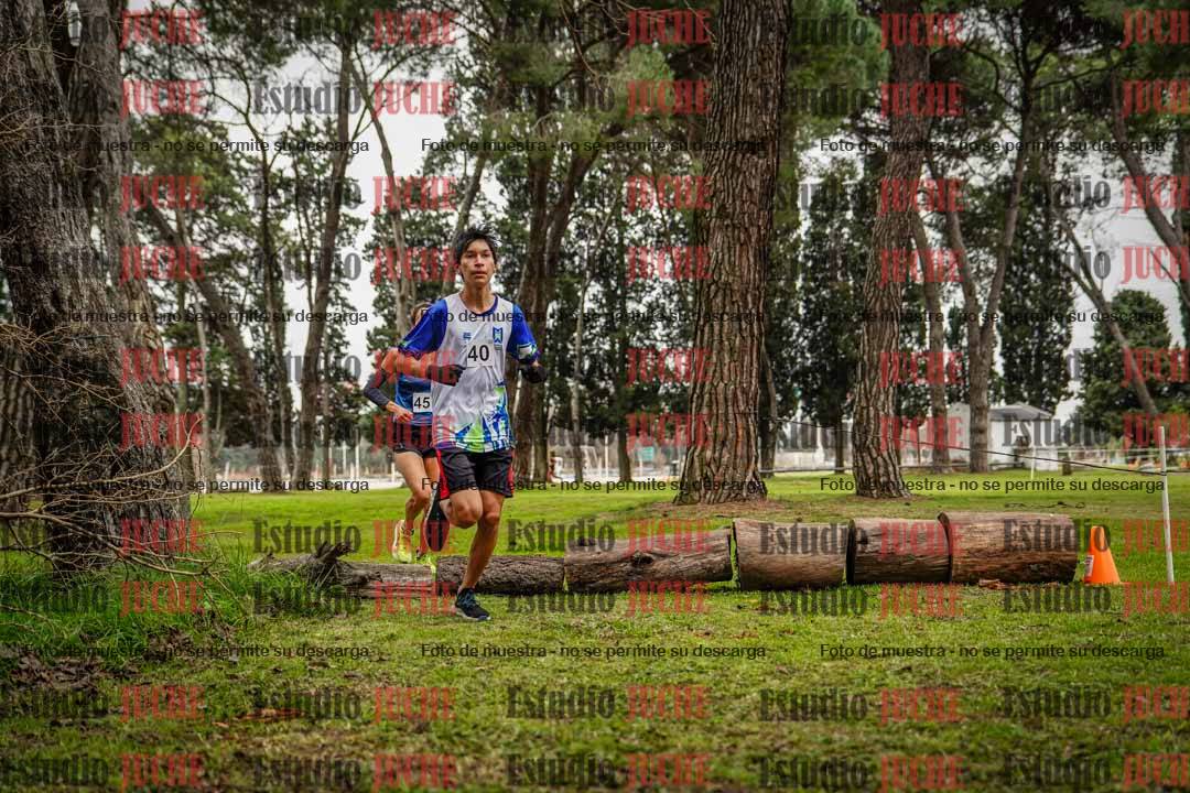 Fotos en el circuito