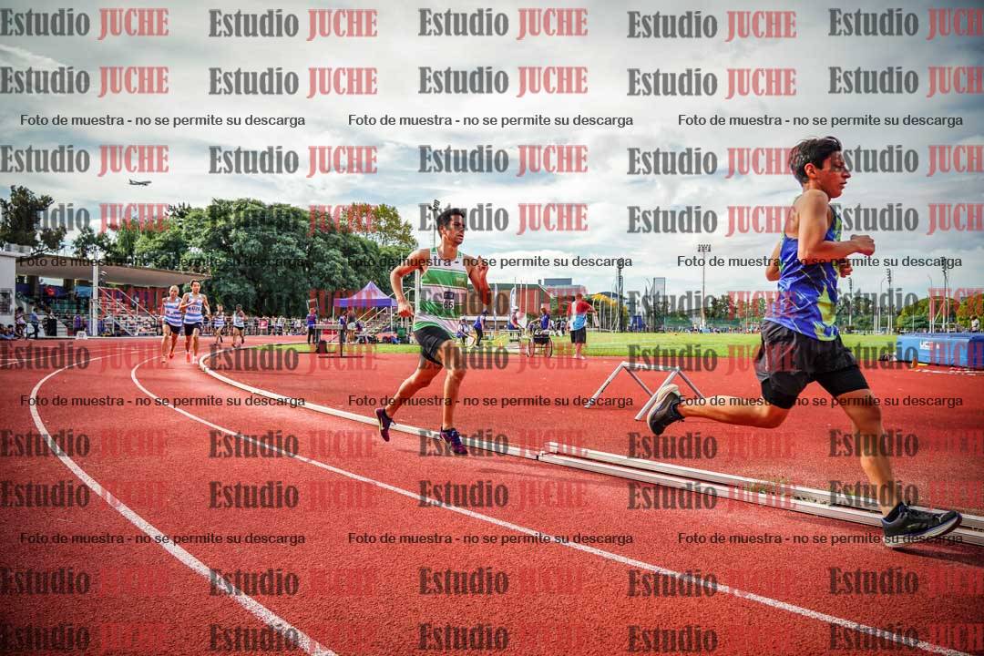 Fotos de los 800 m llanos de varones