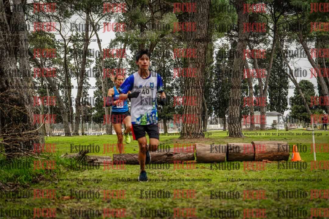 Fotos en el circuito