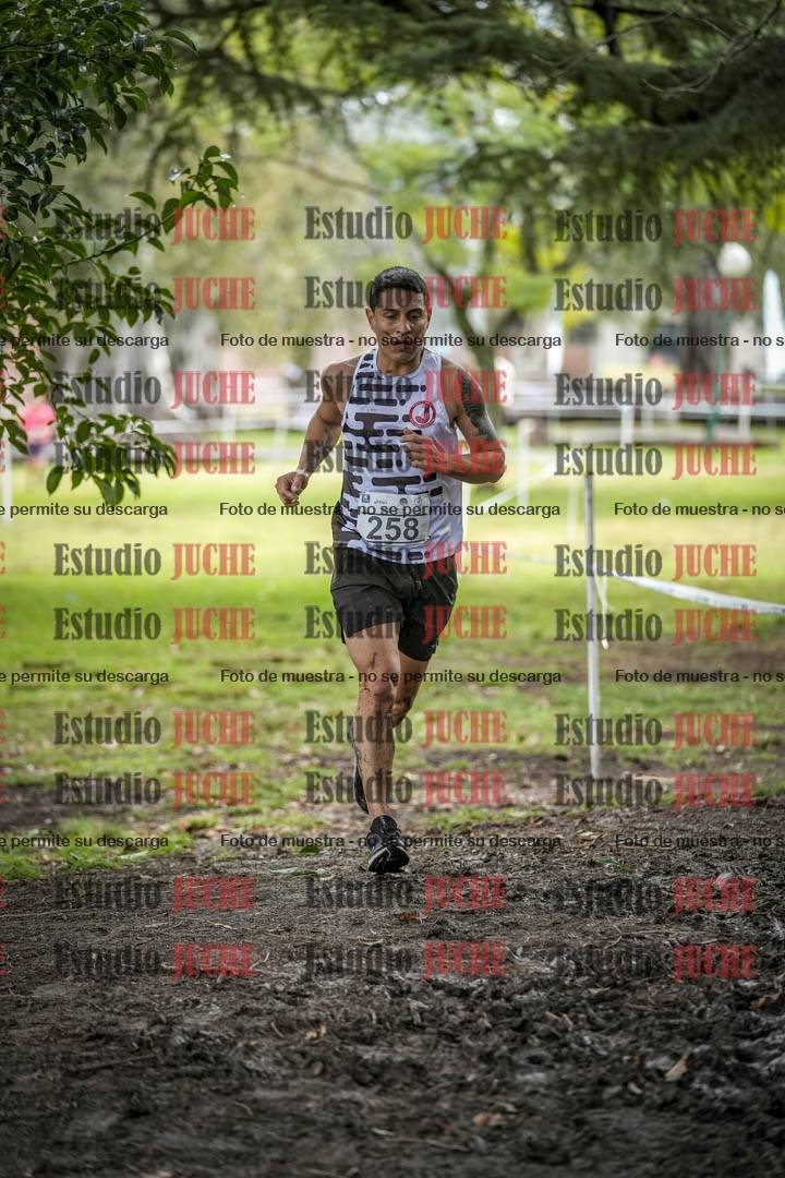 Fotos en el circuito