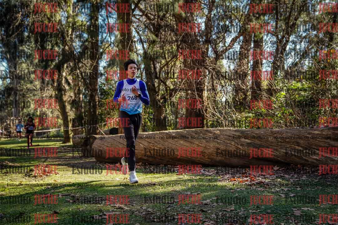 Fotos en el cuarto punto del circuito