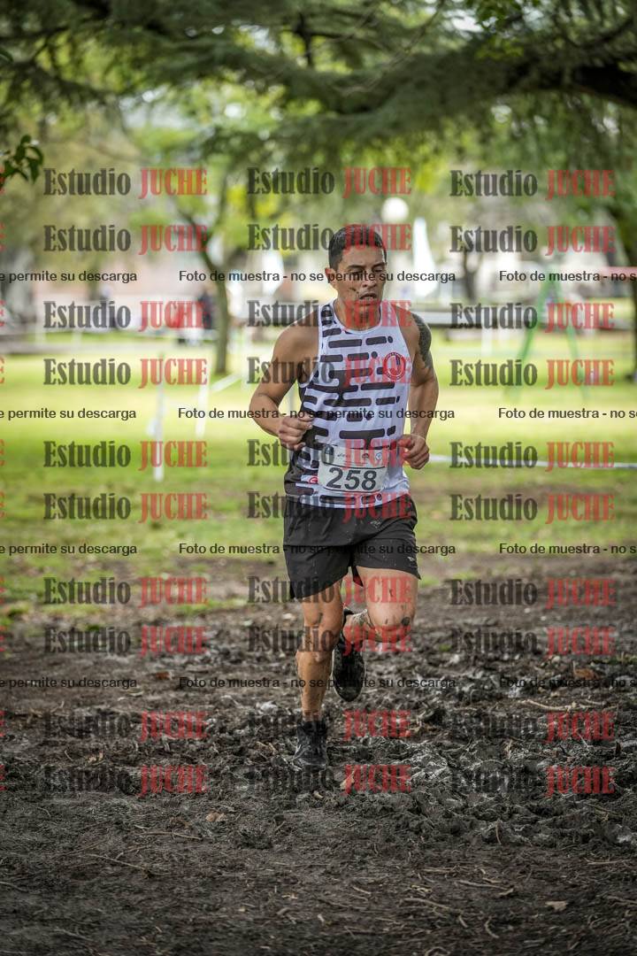 Fotos en el circuito