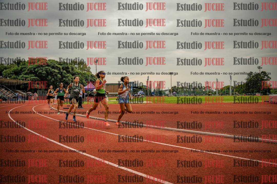Fotos de los 800 m de mujeres