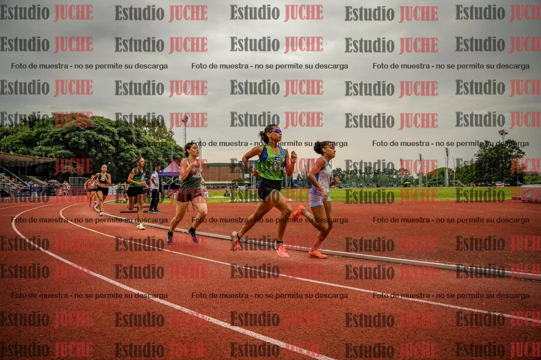 Fotos de los 800 m de mujeres