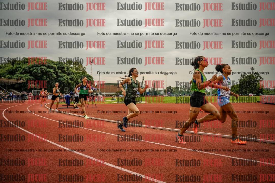 Fotos de los 800 m de mujeres
