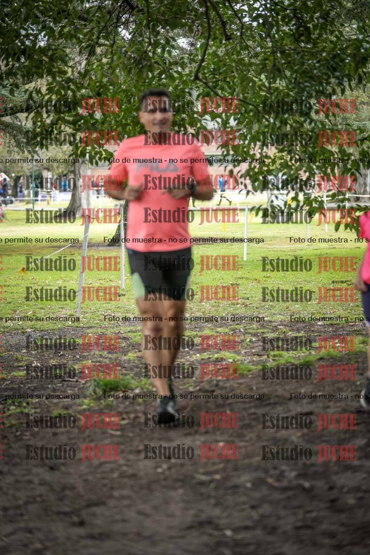 Fotos en el circuito