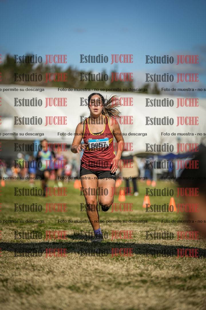 Fotos de las llegadas