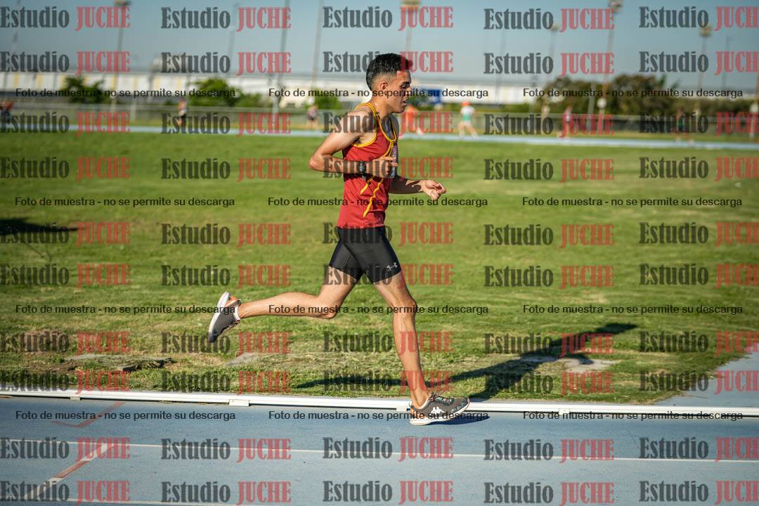 Fotos de los 3000 m llanos de varones