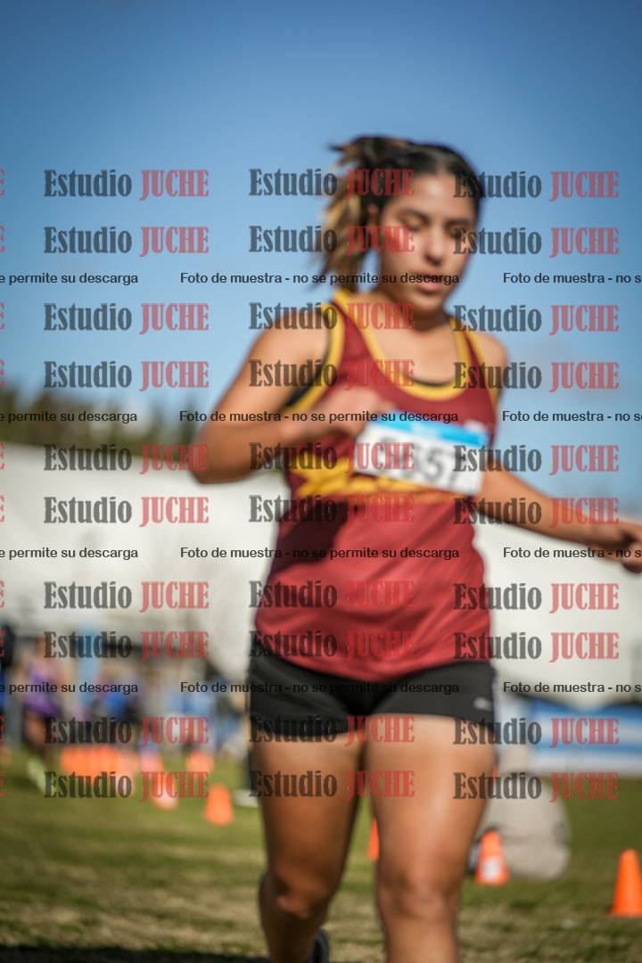 Fotos de las llegadas