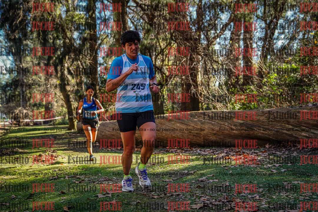 Fotos en el cuarto punto del circuito