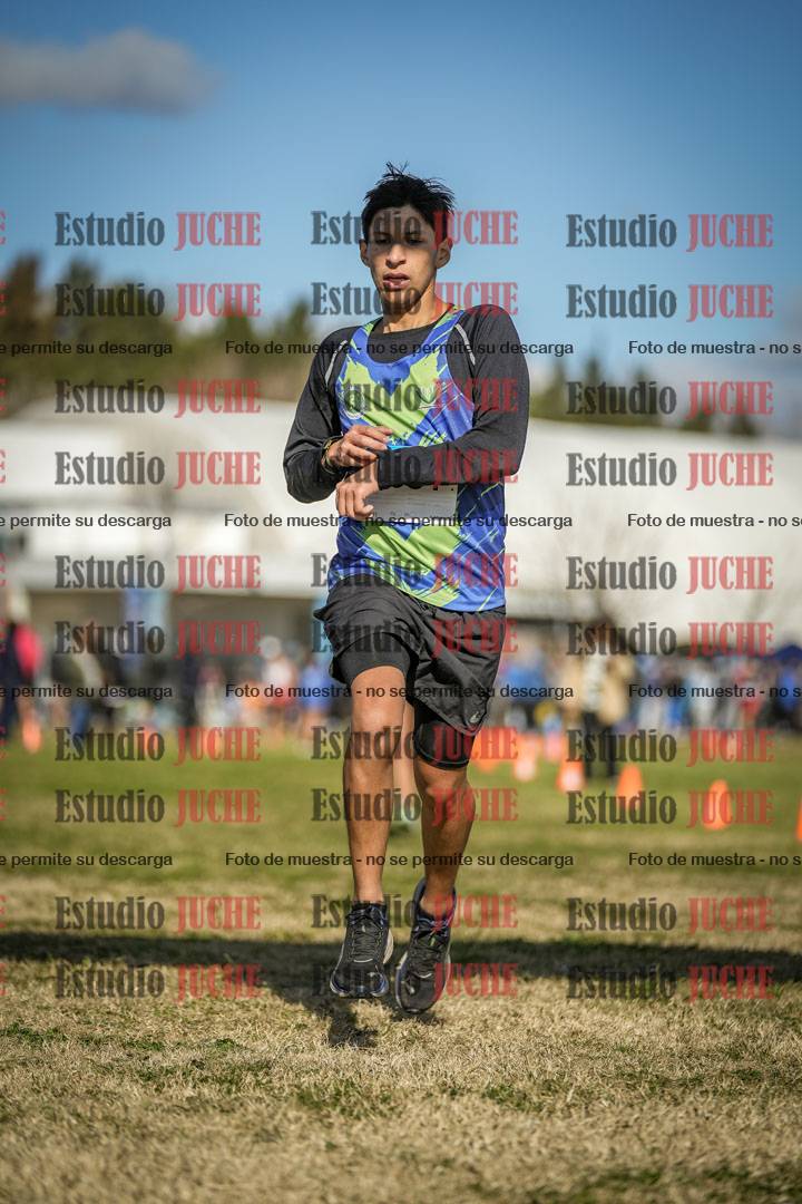 Fotos de las llegadas