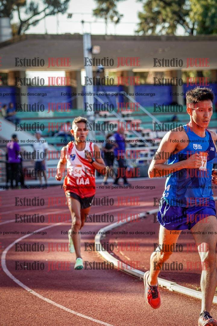 Fotos de los 3000 m llanos de varones