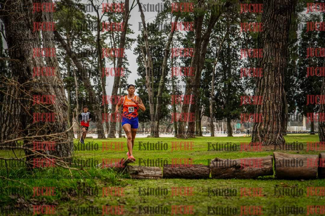 Fotos en el circuito