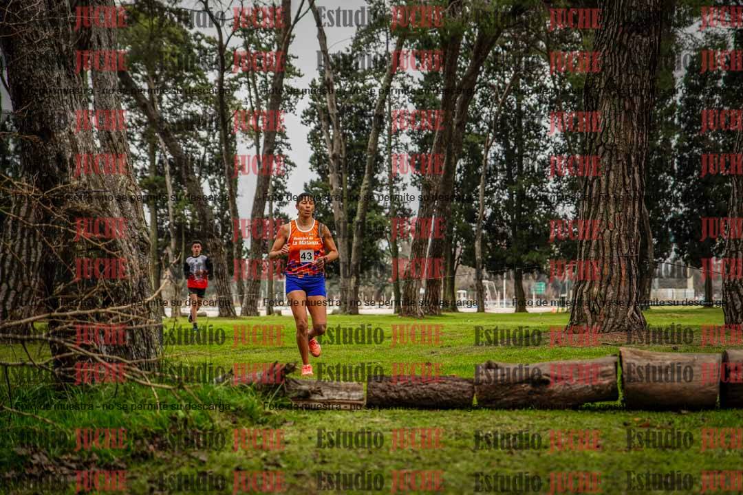 Fotos en el circuito