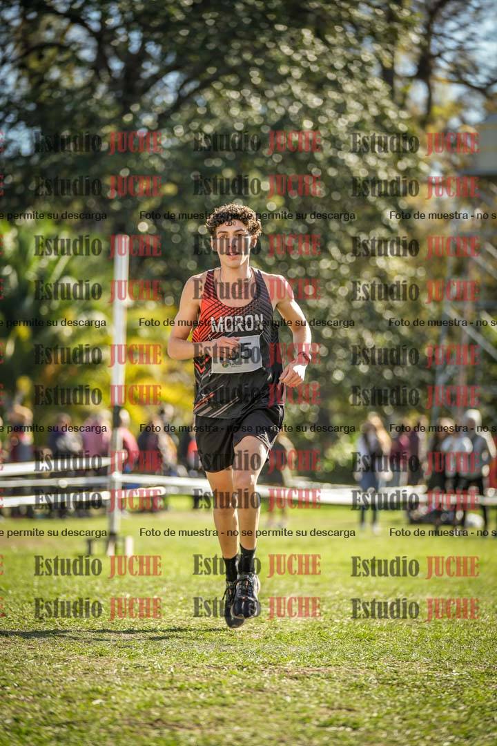Fotos de la llegada del cross de 8000 m