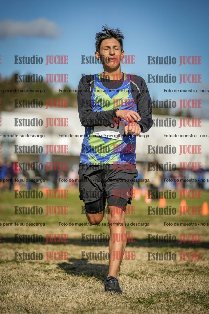 Fotos de las llegadas