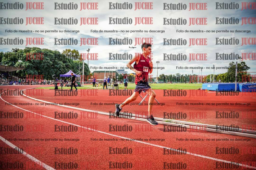 Fotos de los 800 m llanos de varones