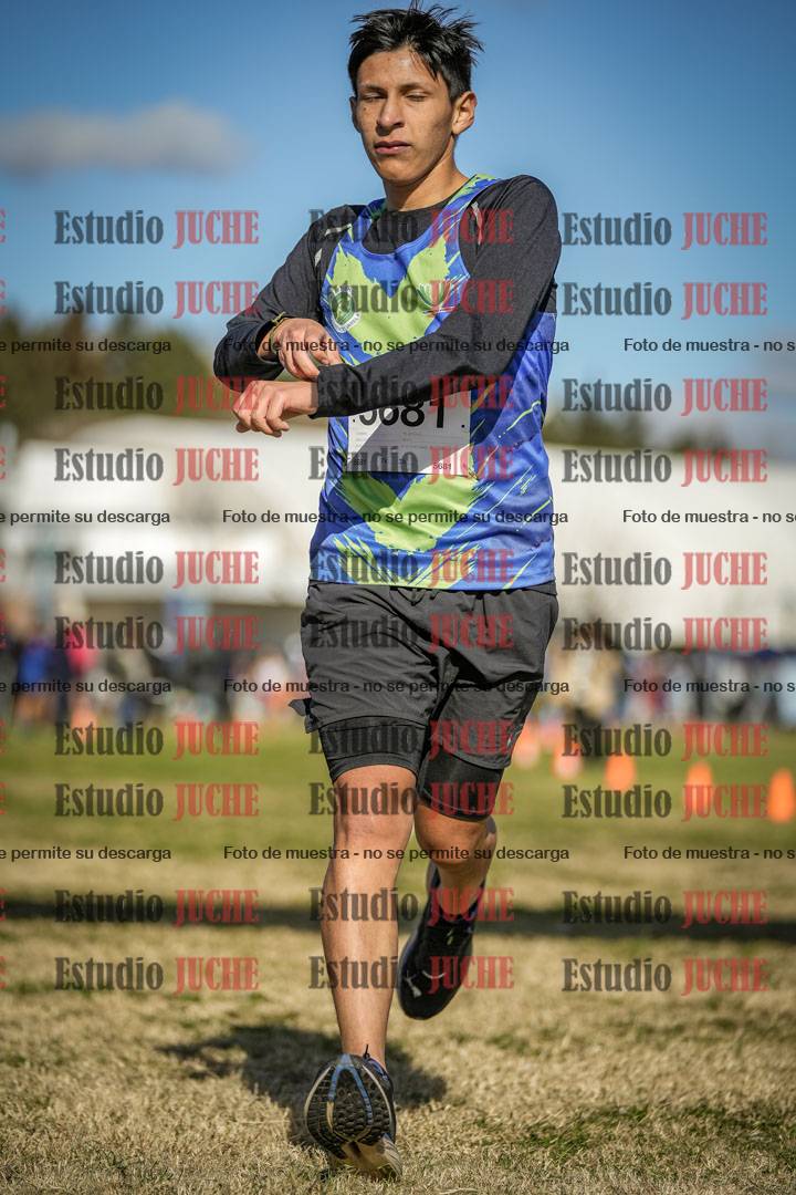 Fotos de las llegadas